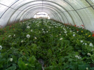 WhatsApp Image 2025-07-18 at 1.48.03 PM (10)