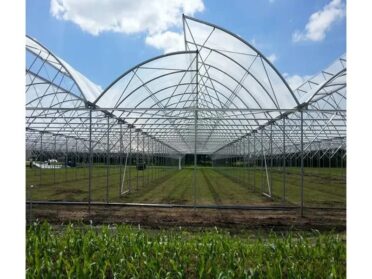 WhatsApp Image 2025-07-18 at 1.48.03 PM (8)